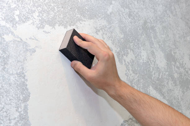Best Asbestos and Lead Testing During Mold Inspection  in Pocomoke City, MD