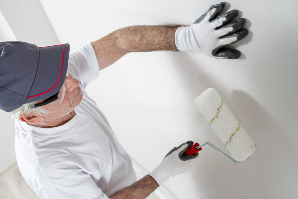 Best Crawl Space Mold Remediation  in Pocomoke City, MD