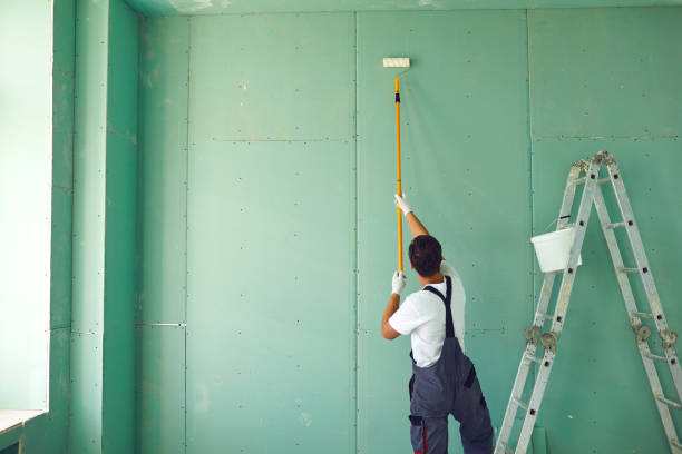 Best Post-Construction Mold Inspection  in Pocomoke City, MD