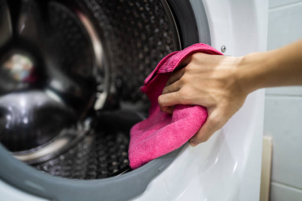 Best Mold Odor Removal Services  in Pocomoke City, MD