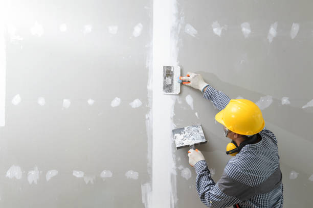 Best Black Mold Removal  in Pocomoke City, MD
