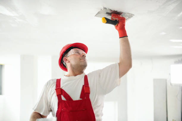 Best Airborne Mold Testing  in Pocomoke City, MD