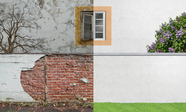 Best Mold Remediation for Rental Properties  in Pocomoke City, MD