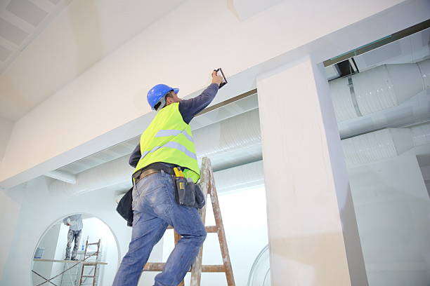 Best Crawl Space Mold Remediation  in Pocomoke City, MD