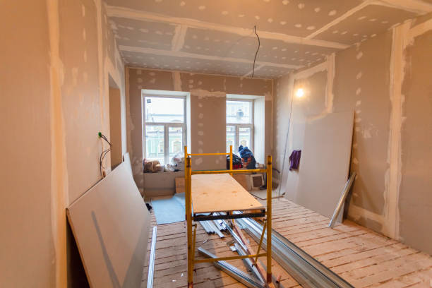 Best Emergency Mold Remediation  in Pocomoke City, MD