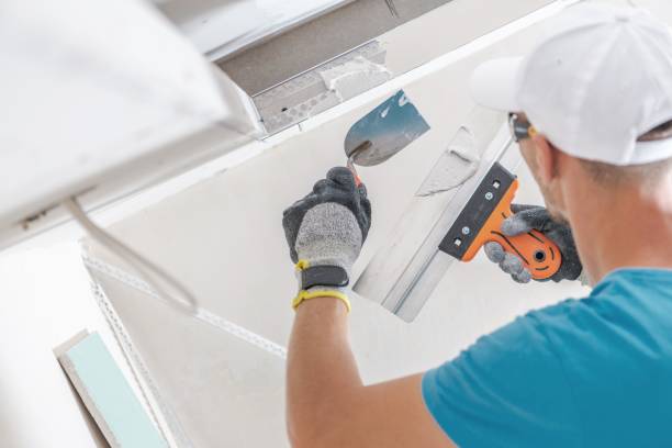 Best Mold-Related Health Consultation  in Pocomoke City, MD